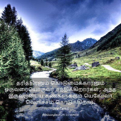 Picture 03 - நீதிமொழிகள் 29:13 TAMIRV - தரித்திரனும் - Bible Verse Picture
