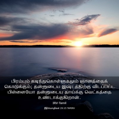 Picture 03 - நீதிமொழிகள் 29:15 TAMIRV - பிரம்பும் - Bible Verse Picture