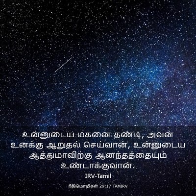 Picture 03 - நீதிமொழிகள் 29:17 TAMIRV - உன்னுடைய மகனை - Bible Verse Picture