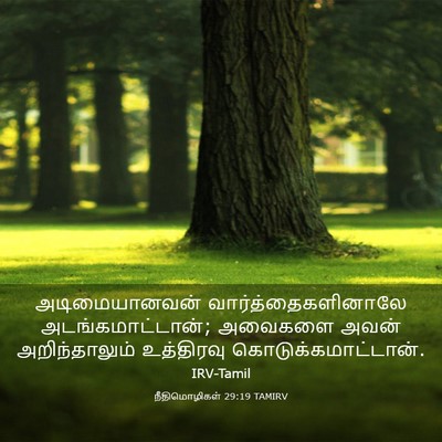 Picture 03 - நீதிமொழிகள் 29:19 TAMIRV - அடிமையானவன் - Bible Verse Picture