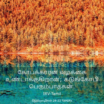 Picture 03 - நீதிமொழிகள் 29:22 TAMIRV - கோபக்காரன் வழக்கை - Bible Verse Picture