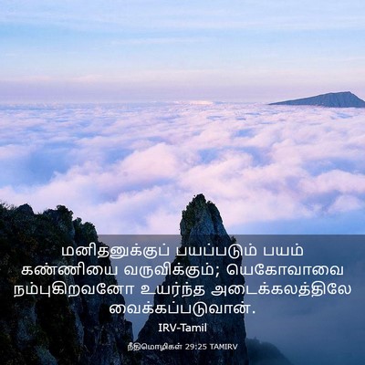Picture 03 - நீதிமொழிகள் 29:25 TAMIRV - மனிதனுக்குப் - Bible Verse Picture