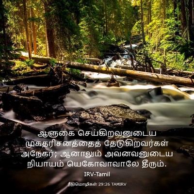 Picture 03 - நீதிமொழிகள் 29:26 TAMIRV - ஆளுகை - Bible Verse Picture