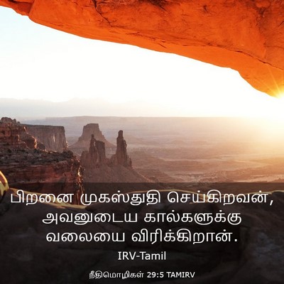 Picture 03 - நீதிமொழிகள் 29:5 TAMIRV - பிறனை முகஸ்துதி - Bible Verse Picture