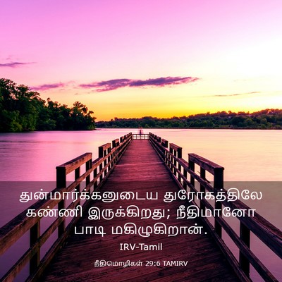 Picture 03 - நீதிமொழிகள் 29:6 TAMIRV - துன்மார்க்கனுடைய - Bible Verse Picture