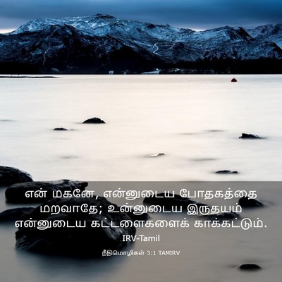 Picture 03 - நீதிமொழிகள் 3:1 TAMIRV - என் மகனே, என்னுடைய - Bible Verse Picture