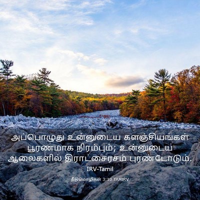 Picture 03 - நீதிமொழிகள் 3:10 TAMIRV - அப்பொழுது - Bible Verse Picture