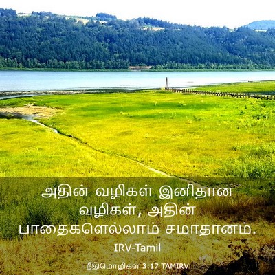 Picture 03 - நீதிமொழிகள் 3:17 TAMIRV - அதின் வழிகள் - Bible Verse Picture