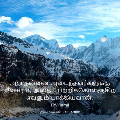 Picture 03 - நீதிமொழிகள் 3:18 TAMIRV - அது தன்னை - Bible Verse Picture