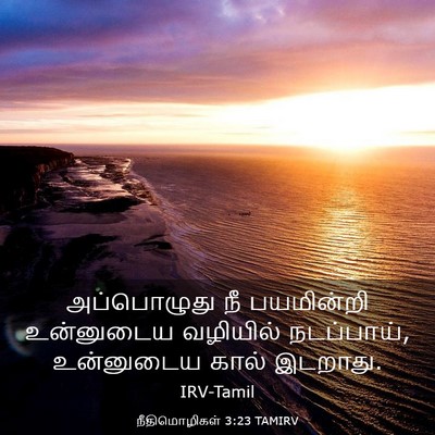 Picture 03 - நீதிமொழிகள் 3:23 TAMIRV - அப்பொழுது நீ - Bible Verse Picture