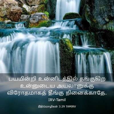 Picture 03 - நீதிமொழிகள் 3:29 TAMIRV - பயமின்றி - Bible Verse Picture