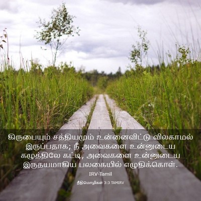 Picture 03 - நீதிமொழிகள் 3:3 TAMIRV - கிருபையும் - Bible Verse Picture