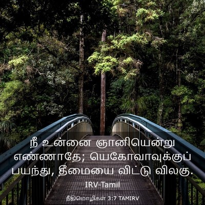 Picture 03 - நீதிமொழிகள் 3:7 TAMIRV - நீ உன்னை - Bible Verse Picture