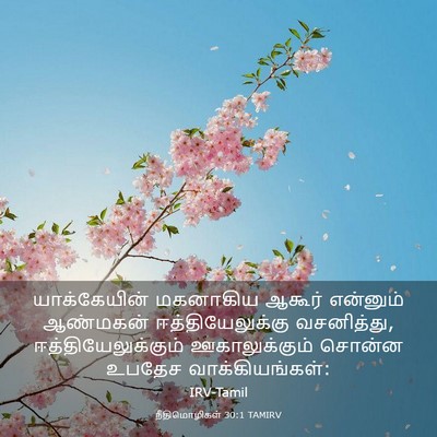 Picture 03 - நீதிமொழிகள் 30:1 TAMIRV - யாக்கேயின் - Bible Verse Picture