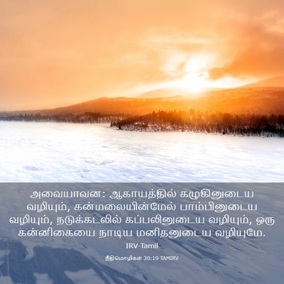 Picture 03 - நீதிமொழிகள் 30:19 TAMIRV - அவையாவன: - Bible Verse Picture