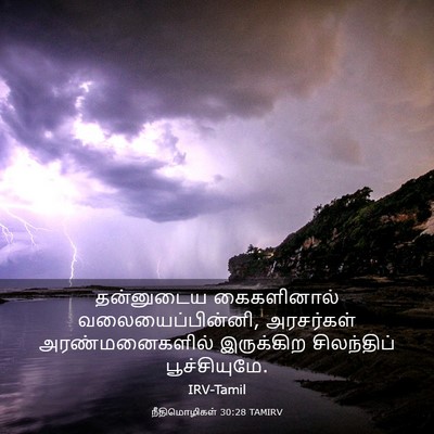 Picture 03 - நீதிமொழிகள் 30:28 TAMIRV - தன்னுடைய - Bible Verse Picture
