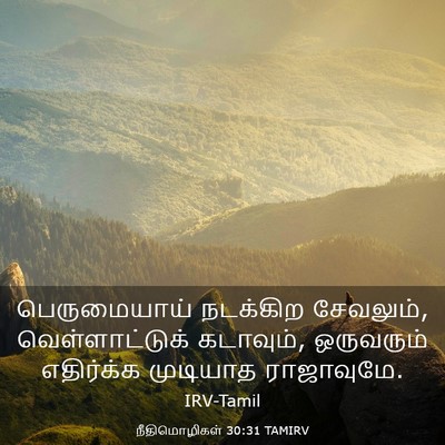Picture 03 - நீதிமொழிகள் 30:31 TAMIRV - பெருமையாய் - Bible Verse Picture