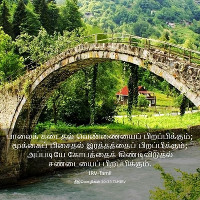 Picture 03 - நீதிமொழிகள் 30:33 TAMIRV - பாலைக் கடைதல் - Bible Verse Picture
