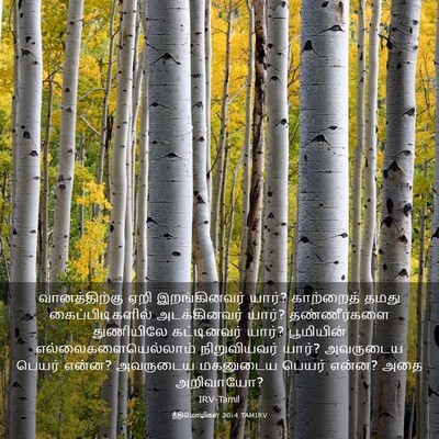 Picture 03 - நீதிமொழிகள் 30:4 TAMIRV - வானத்திற்கு ஏறி - Bible Verse Picture