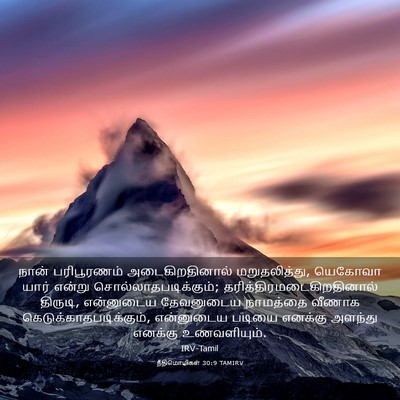 Picture 03 - நீதிமொழிகள் 30:9 TAMIRV - நான் பரிபூரணம் - Bible Verse Picture