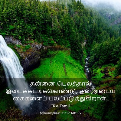 Picture 03 - நீதிமொழிகள் 31:17 TAMIRV - தன்னை பெலத்தால் - Bible Verse Picture