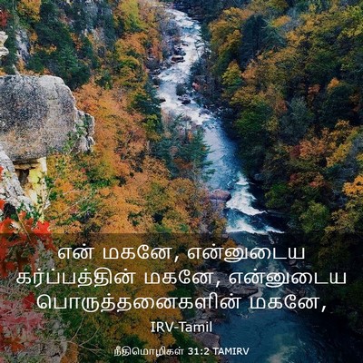 Picture 03 - நீதிமொழிகள் 31:2 TAMIRV - என் மகனே, என்னுடைய - Bible Verse Picture