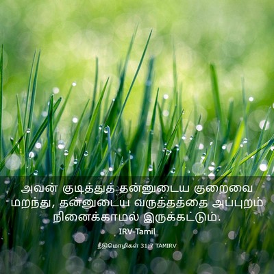 Picture 03 - நீதிமொழிகள் 31:7 TAMIRV - அவன் குடித்துத் - Bible Verse Picture