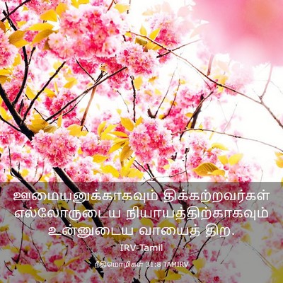 Picture 03 - நீதிமொழிகள் 31:8 TAMIRV - ஊமையனுக்காகவும் - Bible Verse Picture