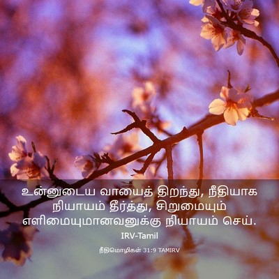 Picture 03 - நீதிமொழிகள் 31:9 TAMIRV - உன்னுடைய வாயைத் - Bible Verse Picture