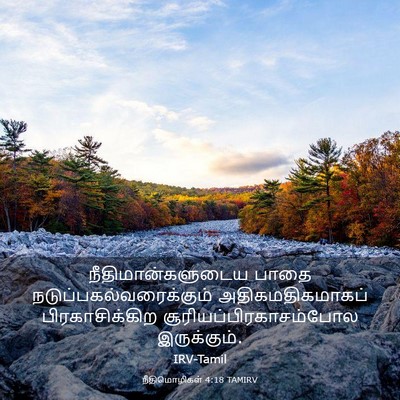 Picture 03 - நீதிமொழிகள் 4:18 TAMIRV - நீதிமான்களுடைய - Bible Verse Picture