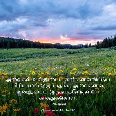 Picture 03 - நீதிமொழிகள் 4:21 TAMIRV - அவைகள் உன்னுடைய - Bible Verse Picture