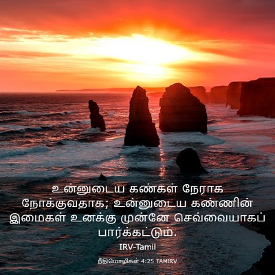 Picture 03 - நீதிமொழிகள் 4:25 TAMIRV - உன்னுடைய கண்கள் - Bible Verse Picture