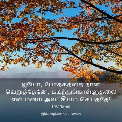 Picture 03 - நீதிமொழிகள் 5:12 TAMIRV - ஐயோ, போதகத்தை நான் - Bible Verse Picture
