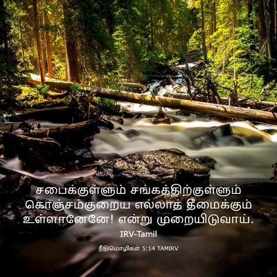 Picture 03 - நீதிமொழிகள் 5:14 TAMIRV - சபைக்குள்ளும் - Bible Verse Picture