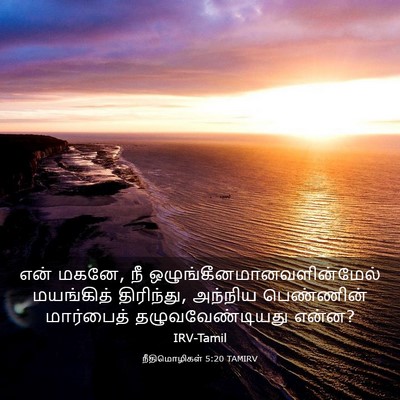 Picture 03 - நீதிமொழிகள் 5:20 TAMIRV - என் மகனே, நீ - Bible Verse Picture