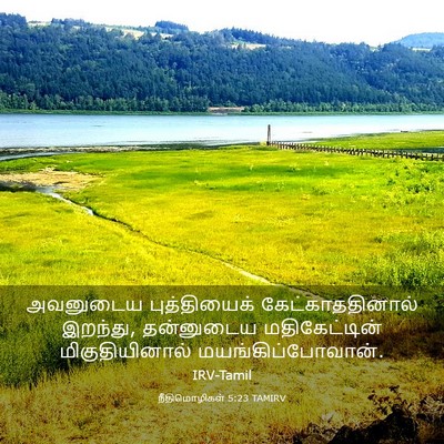 Picture 03 - நீதிமொழிகள் 5:23 TAMIRV - அவனுடைய - Bible Verse Picture