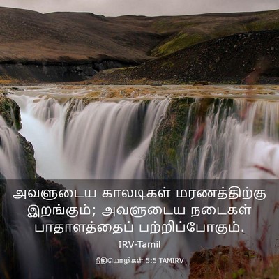 Picture 03 - நீதிமொழிகள் 5:5 TAMIRV - அவளுடைய காலடிகள் - Bible Verse Picture