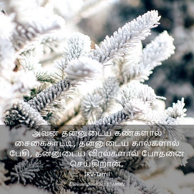 Picture 03 - நீதிமொழிகள் 6:13 TAMIRV - அவன் தன்னுடைய - Bible Verse Picture