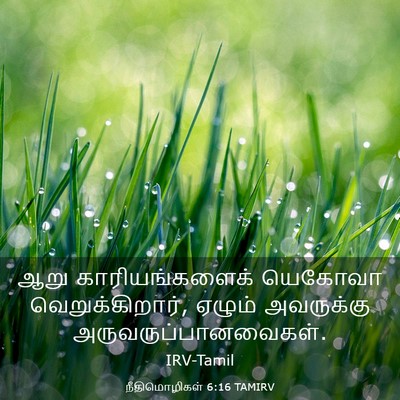 Picture 03 - நீதிமொழிகள் 6:16 TAMIRV - ஆறு காரியங்களைக் - Bible Verse Picture