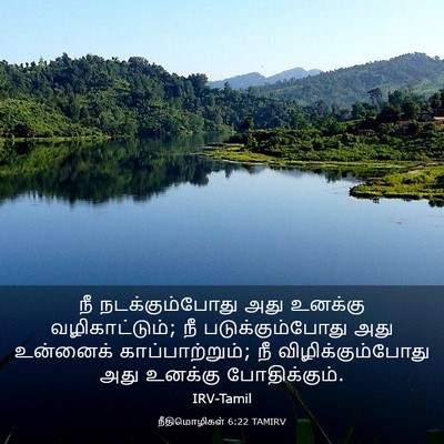 Picture 03 - நீதிமொழிகள் 6:22 TAMIRV - நீ நடக்கும்போது - Bible Verse Picture