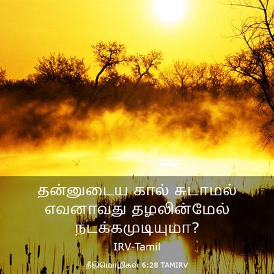 Picture 03 - நீதிமொழிகள் 6:28 TAMIRV - தன்னுடைய கால் - Bible Verse Picture
