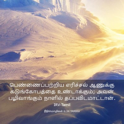 Picture 03 - நீதிமொழிகள் 6:34 TAMIRV - பெண்ணைப்பற்றிய - Bible Verse Picture
