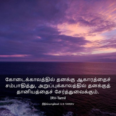 Picture 03 - நீதிமொழிகள் 6:8 TAMIRV - கோடைக்காலத்தில் - Bible Verse Picture
