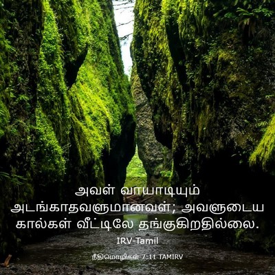 Picture 03 - நீதிமொழிகள் 7:11 TAMIRV - அவள் வாயாடியும் - Bible Verse Picture