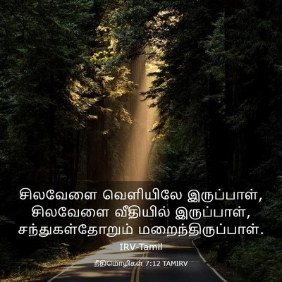 Picture 03 - நீதிமொழிகள் 7:12 TAMIRV - சிலவேளை வெளியிலே - Bible Verse Picture