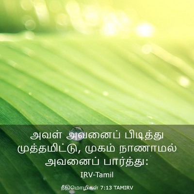 Picture 03 - நீதிமொழிகள் 7:13 TAMIRV - அவள் அவனைப் - Bible Verse Picture