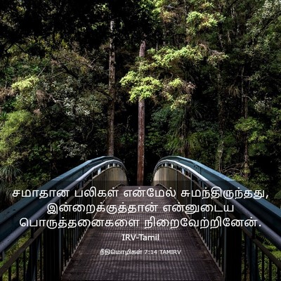 Picture 03 - நீதிமொழிகள் 7:14 TAMIRV - சமாதான பலிகள் - Bible Verse Picture