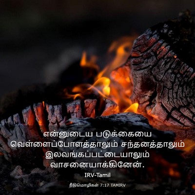 Picture 03 - நீதிமொழிகள் 7:17 TAMIRV - என்னுடைய - Bible Verse Picture