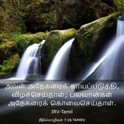 Picture 03 - நீதிமொழிகள் 7:26 TAMIRV - அவள் அநேகரைக் - Bible Verse Picture