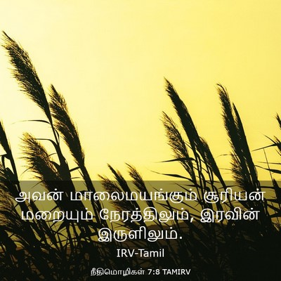 Picture 03 - நீதிமொழிகள் 7:8 TAMIRV - அவன் மாலைமயங்கும் - Bible Verse Picture